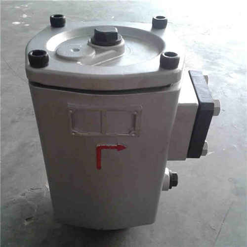 EH30.00.003出口沖洗濾芯